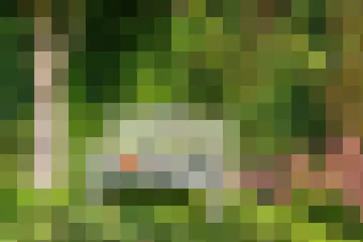 Altena 3 Gieten thumbnail 53