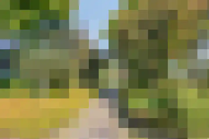 Altena 3 Gieten thumbnail 67