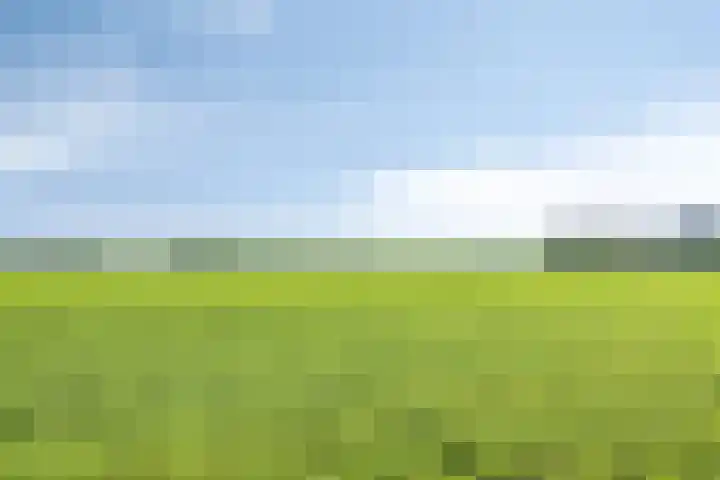 Altena 3 Gieten thumbnail 68