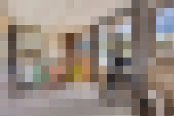 Altstraat 11 Uden thumbnail 10