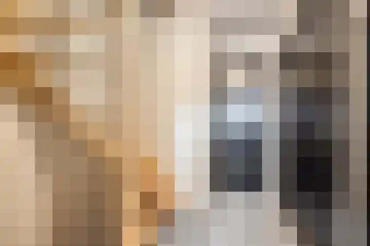 Altstraat 11 Uden thumbnail 11