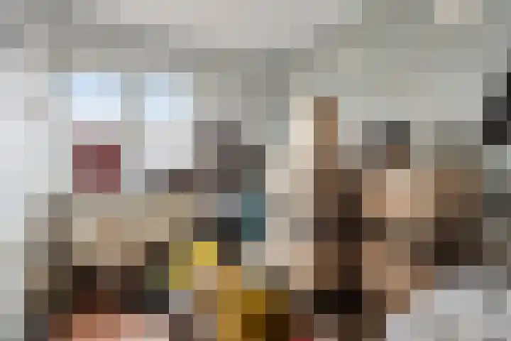 Altstraat 11 Uden thumbnail 17