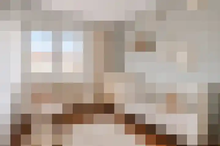 Altstraat 11 Uden thumbnail 18