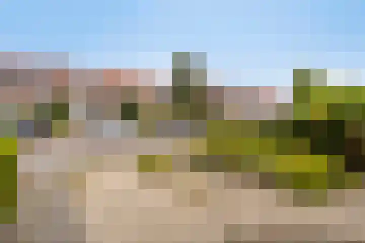 Altstraat 11 Uden thumbnail 23