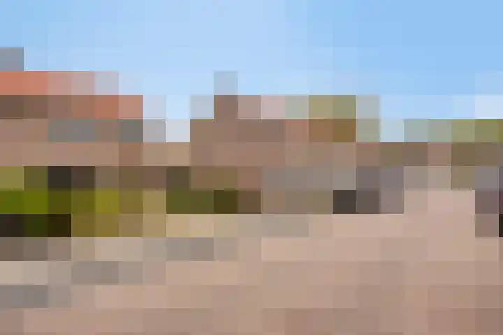 Altstraat 11 Uden thumbnail 27