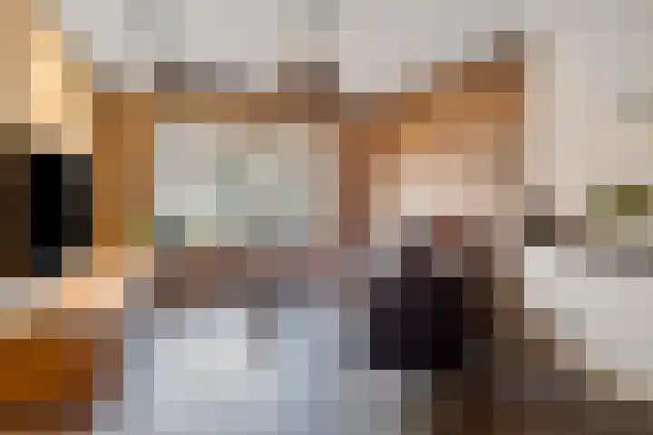 Altstraat 11 Uden thumbnail 4