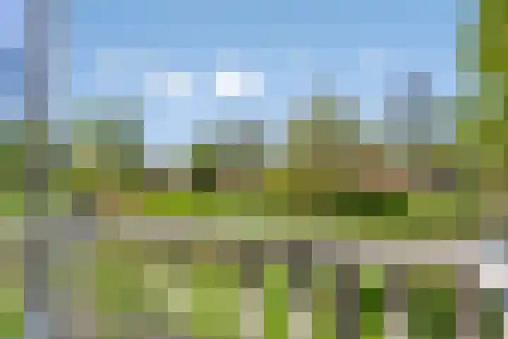 Alver 13 Bodegraven thumbnail 19