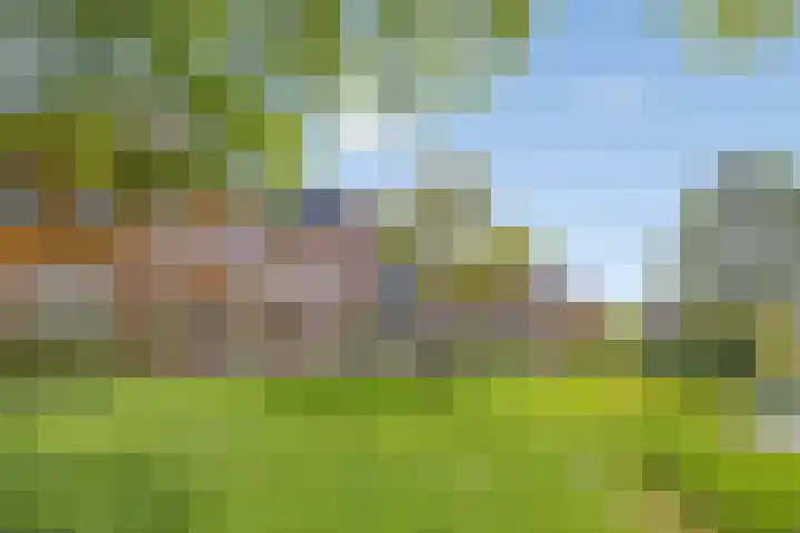 Alver 13 Bodegraven foto 2