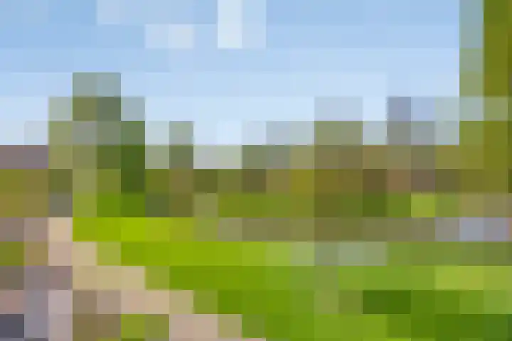 Alver 13 Bodegraven thumbnail 22