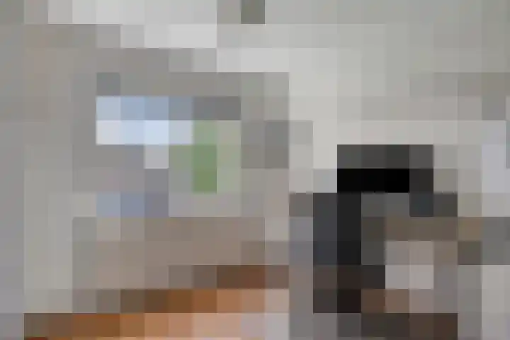 Alver 13 Bodegraven thumbnail 26