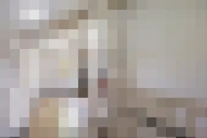 Alver 13 Bodegraven thumbnail 31