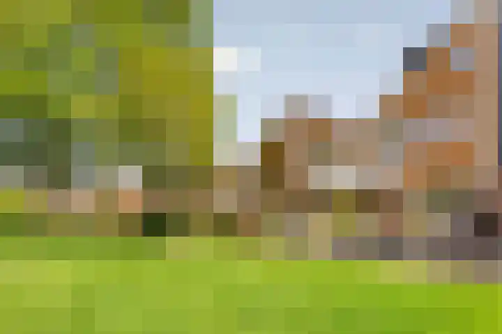 Alver 13 Bodegraven thumbnail 35