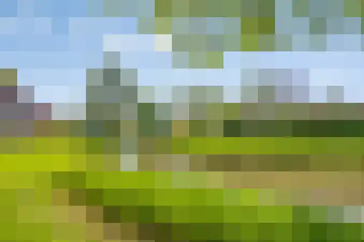 Alver 13 Bodegraven thumbnail 36