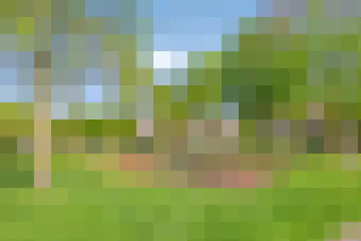 Alver 13 Bodegraven thumbnail 37