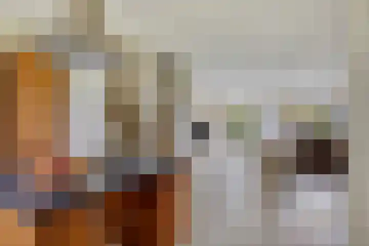 Alver 13 Bodegraven thumbnail 7