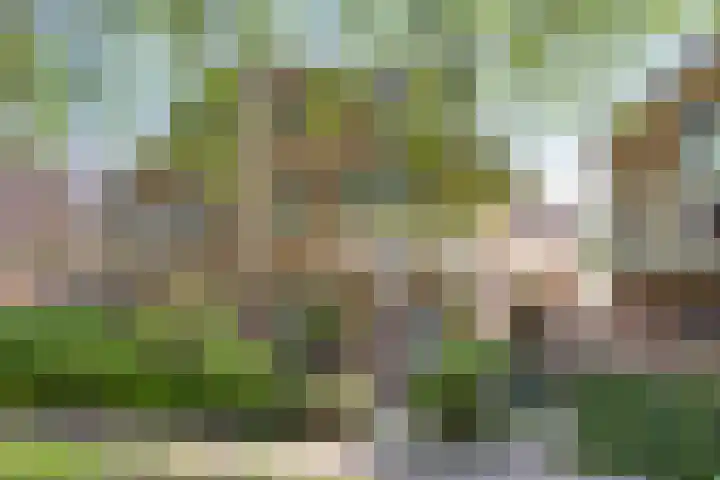 Alver 17 in Bodegraven