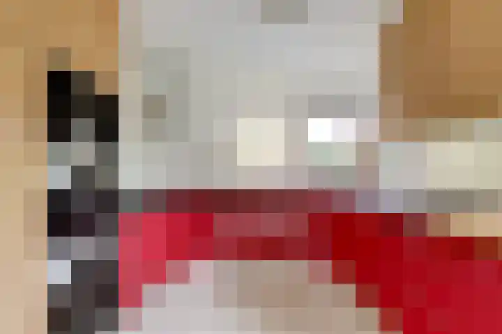 Alys Ambacht 7 Reeuwijk thumbnail 10