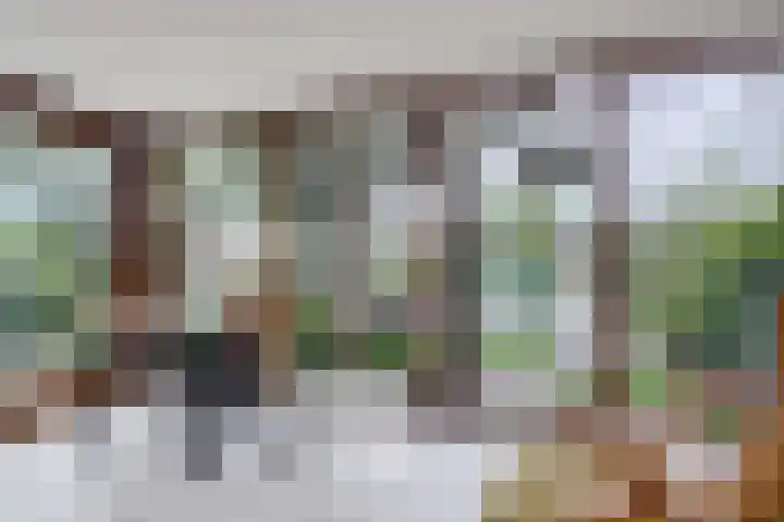 Alys Ambacht 7 Reeuwijk thumbnail 14