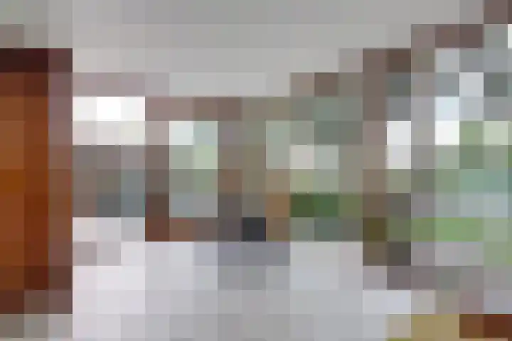 Alys Ambacht 7 Reeuwijk thumbnail 15