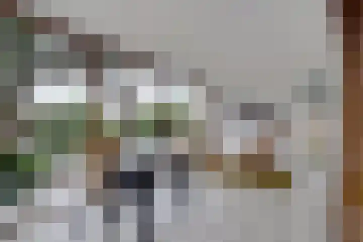 Alys Ambacht 7 Reeuwijk thumbnail 16