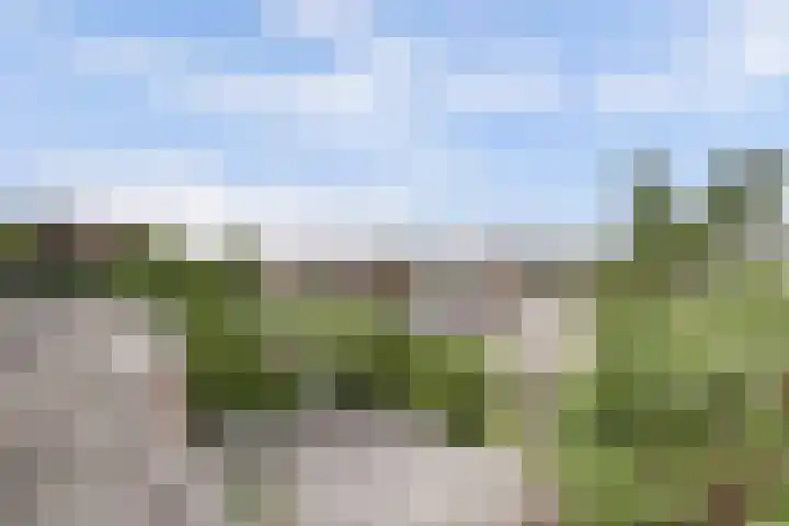 Alys Ambacht 7 Reeuwijk thumbnail 20