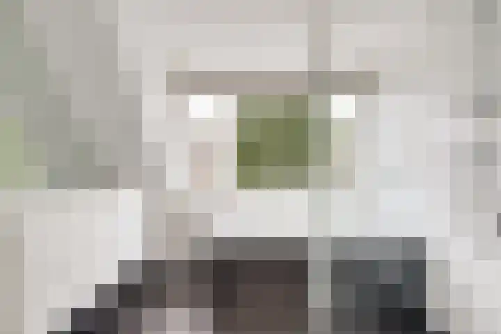 Alys Ambacht 7 Reeuwijk thumbnail 26