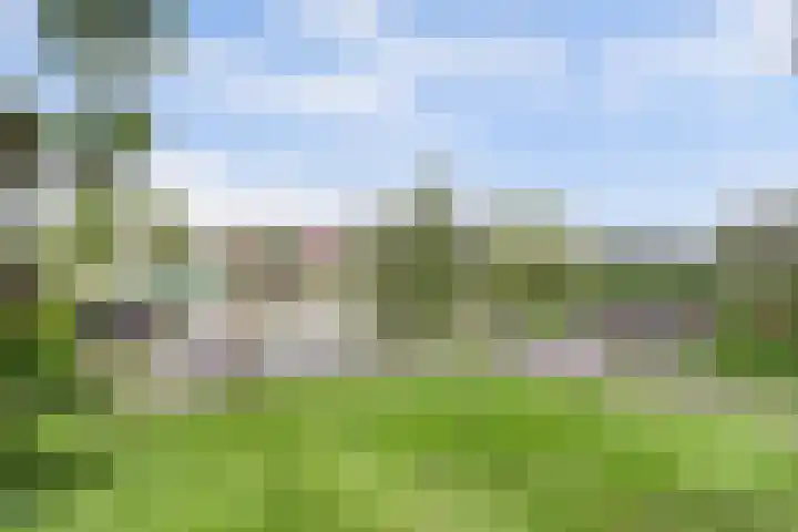 Alys Ambacht 7 Reeuwijk thumbnail 31