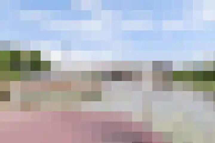 Alys Ambacht 7 Reeuwijk thumbnail 36