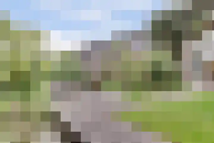 Alys Ambacht 7 Reeuwijk thumbnail 37