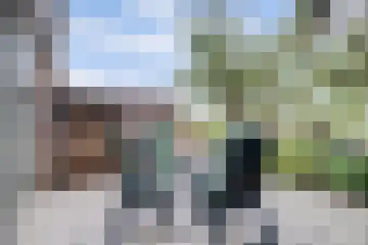 Alys Ambacht 7 Reeuwijk thumbnail 39