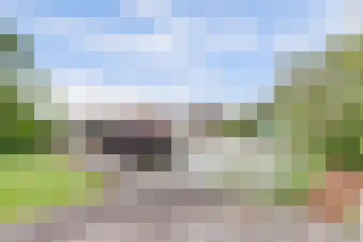 Alys Ambacht 7 Reeuwijk thumbnail 4