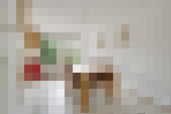 Alys Ambacht 7 Reeuwijk thumbnail 7