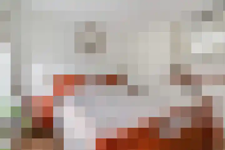 Amalia van Solmslaan 3 Ede thumbnail 18