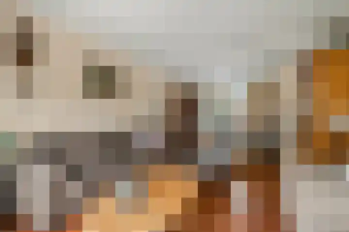 Amalia van Solmslaan 3 Ede thumbnail 5