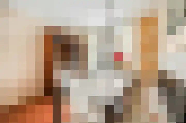 Amalia van Solmslaan 3 Ede thumbnail 9
