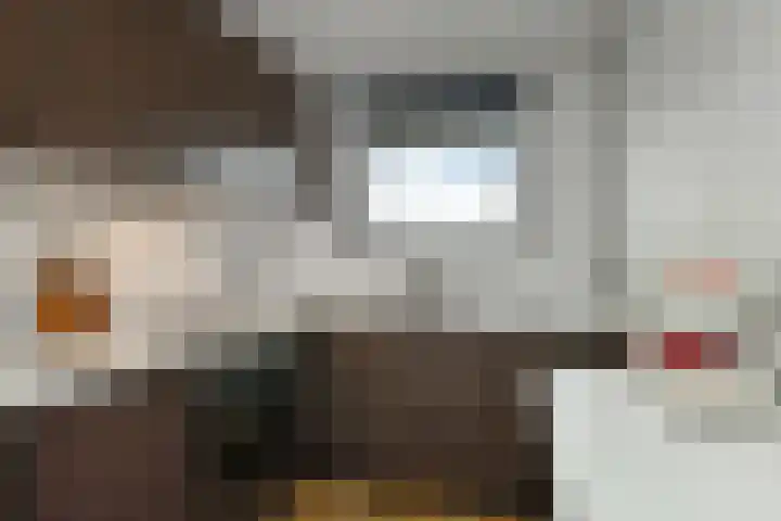 Amalia van Solmsstraat 20 Elst thumbnail 21