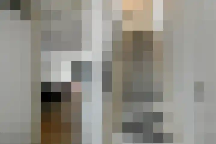 Amalia van Solmsstraat 20 Elst thumbnail 41