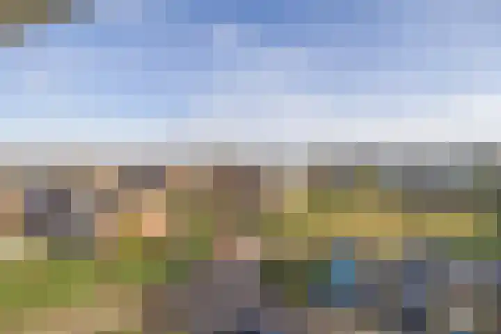Amaliagaarde 24 Bussum thumbnail 12
