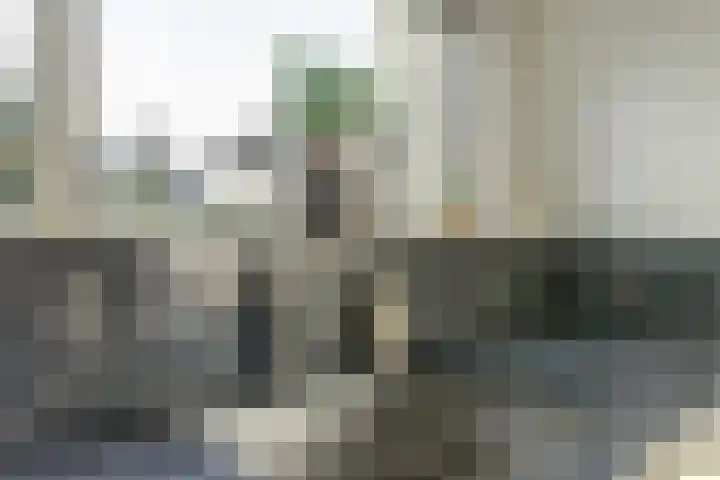 Amaliastein 181 Vianen thumbnail 13