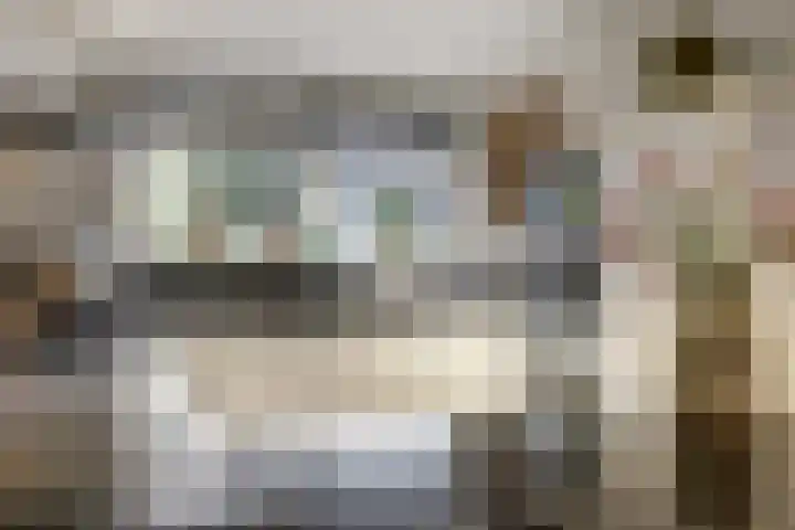 Amaliastein 181 Vianen thumbnail 14