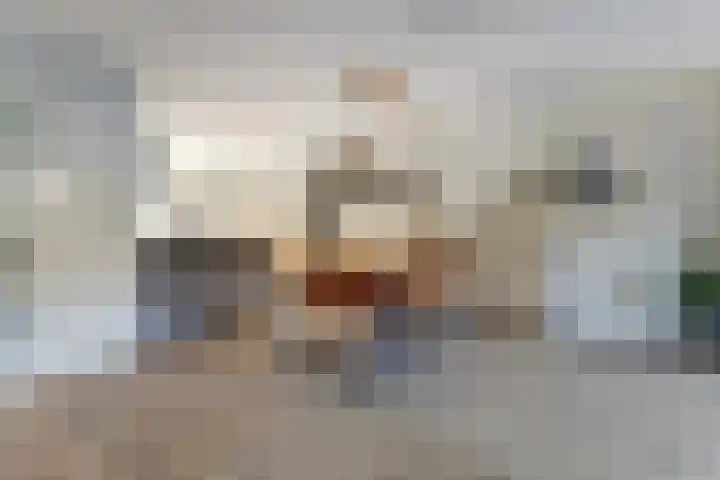 Amaliastein 181 Vianen thumbnail 15