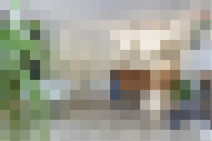 Amaliastein 181 Vianen thumbnail 19