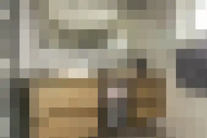 Amaliastein 181 Vianen thumbnail 23