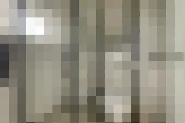 Amaliastein 181 Vianen thumbnail 24