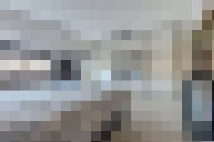 Amaliastein 181 Vianen thumbnail 28