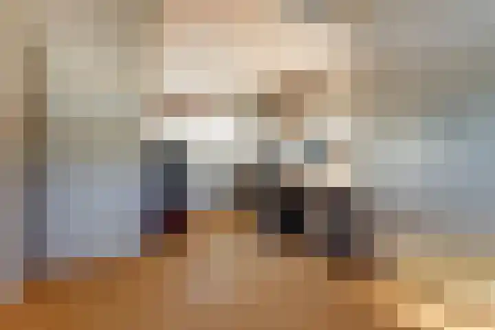 Amaliastein 181 Vianen thumbnail 33
