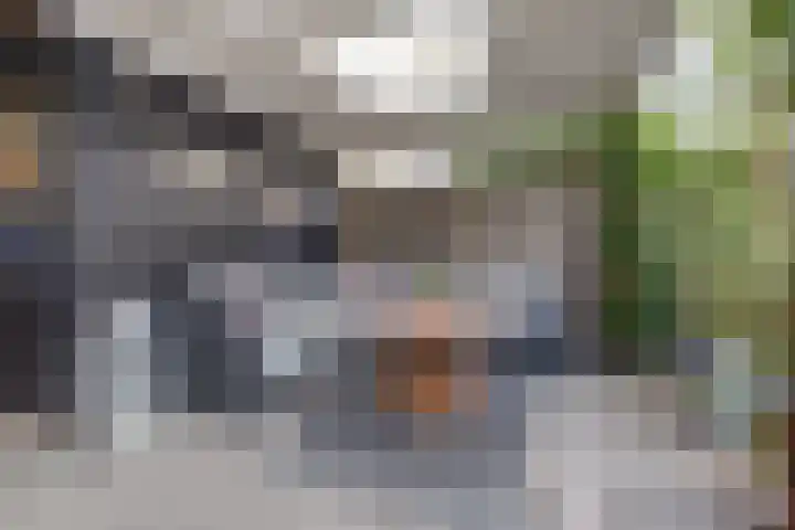 Amaliastein 181 Vianen thumbnail 36