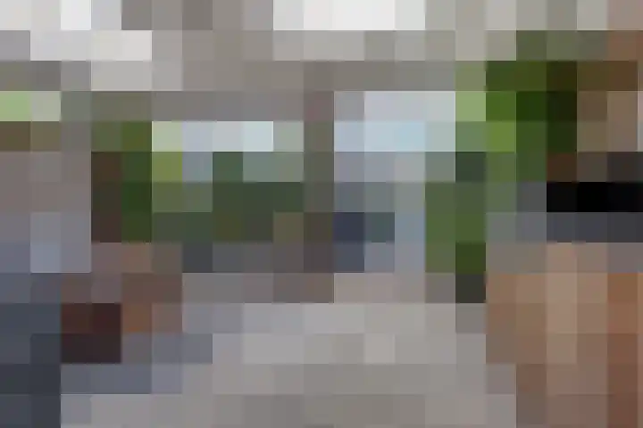 Amaliastein 181 Vianen thumbnail 38