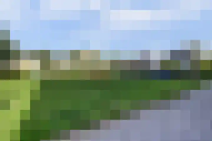 Amaliastein 181 Vianen thumbnail 4