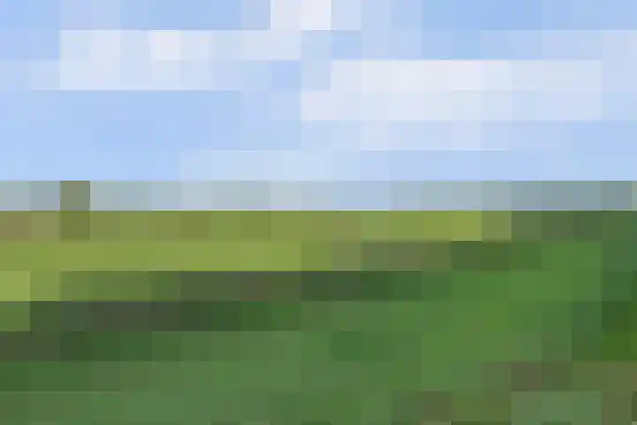 Amaliastein 181 Vianen thumbnail 43